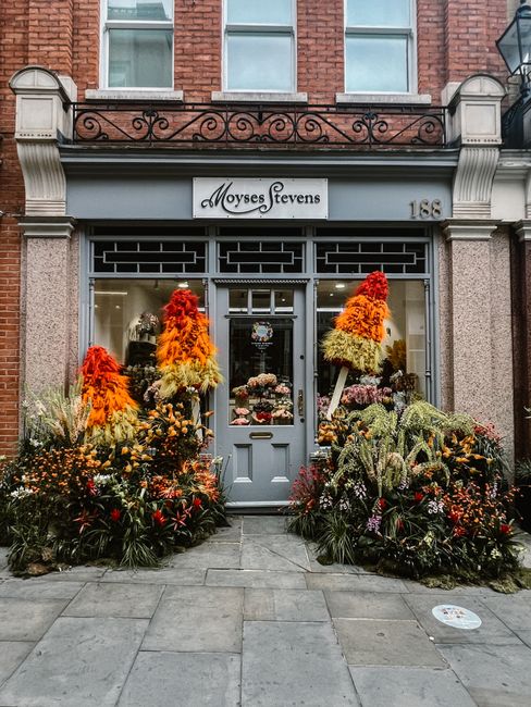 The storefront of Moyses Stevens floral shop features a grey painted door and large display windows above, with a sign displaying the shop's name. The entrance is framed by vibrant flower arrangements